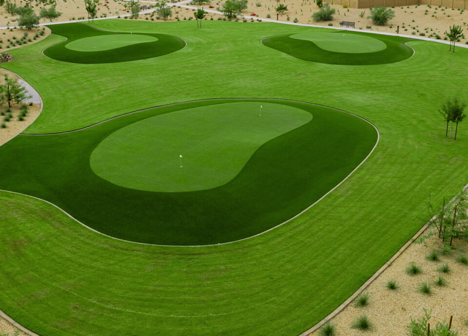 Artificial grass putting greens in Phoenix desert